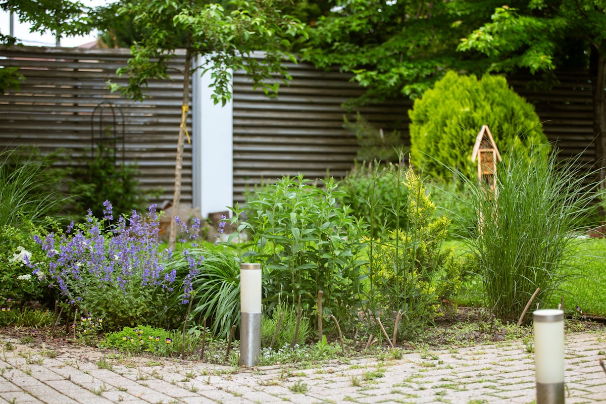 A residential backyard with mixed plantings and a paver path
