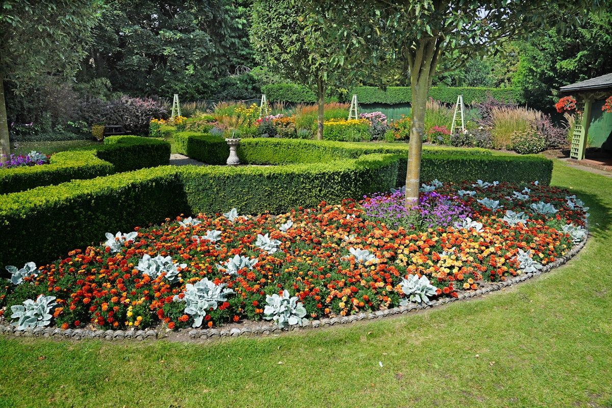 A mature formal garden with clipped hedges and full flower beds