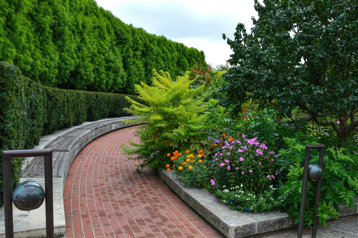 A sculpted hedge lining a curved stone walkway with layered plantings